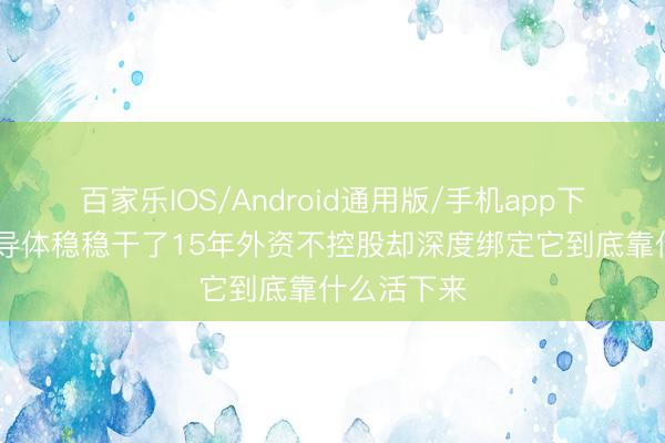 百家乐IOS/Android通用版/手机app下载 海太半导体稳稳干了15年外资不控股却深度绑定它到底靠什么活下来